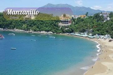 Featured Image for Listing: Cat Sit in Heavenly Manzanillo: July 30 to Aug 22