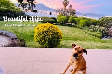 Featured Image for Listing: Spend 2.5 Weeks at the Lake in Beautiful West Ajijic