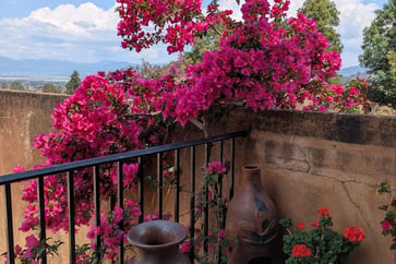 Featured Image for Listing: RELISTED: Patzcuaro House/Pet Sit (4+ Months)