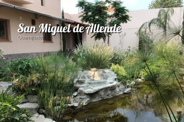 Featured Image for Listing: One Week: Beautiful & Comfortable Cat Sit in San Miguel de Allende