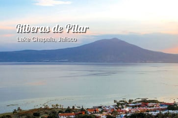 Featured Image for Listing: Enjoy Our 3 Little Dogs and Garden