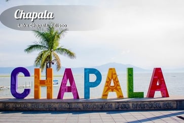 Featured Image for Listing: Sit for One Cat/One Dog in Chapala – Feburary 10-17