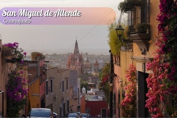 Featured Image for Listing: Enjoy SMA Five Days This April:  Stella the Pom Needs a Sitter!