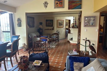 Featured Image for Listing: One Sweet Healthy Cat in San Miguel de Allende