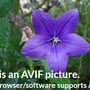 default image